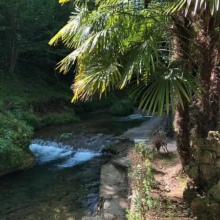 Camping Moli De Vilamala