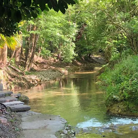 Moli De Vilamala