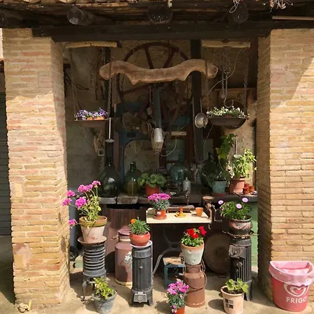 Moli De Vilamala