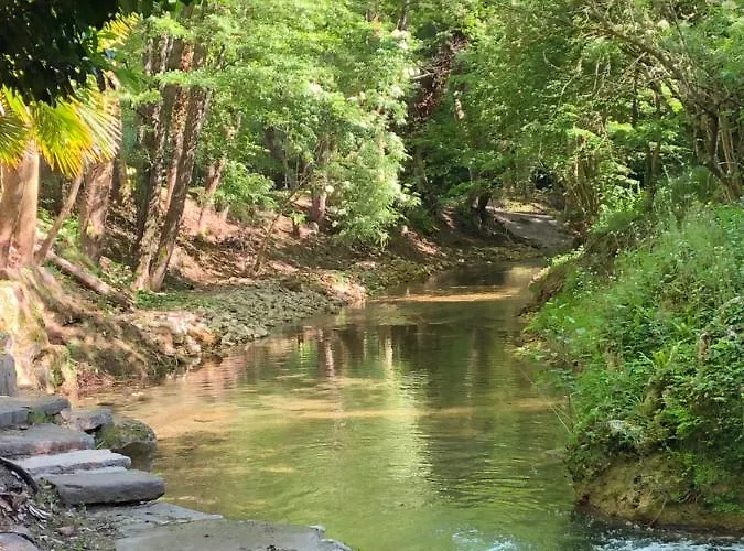 Moli De Vilamala