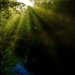 Camping Càmping Molí De Vilamala Les Planes d'Hostoles