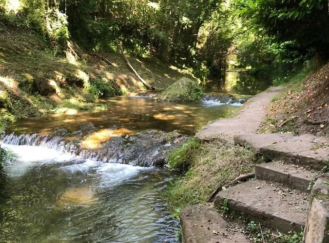 Moli De Vilamala *